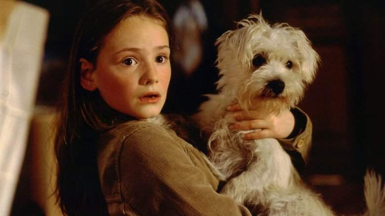 Mein Bruder Ist Ein Hund (2004)