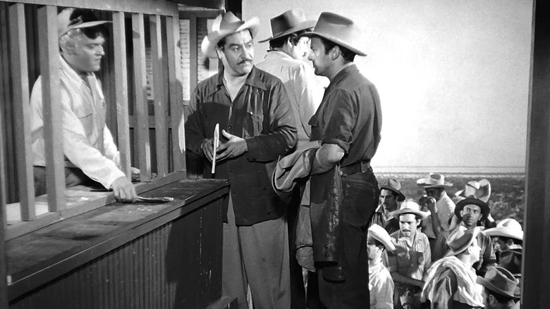 Espaldas Mojadas (1955)