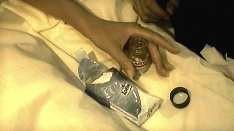 La Femme Dans La Chambre (2005)