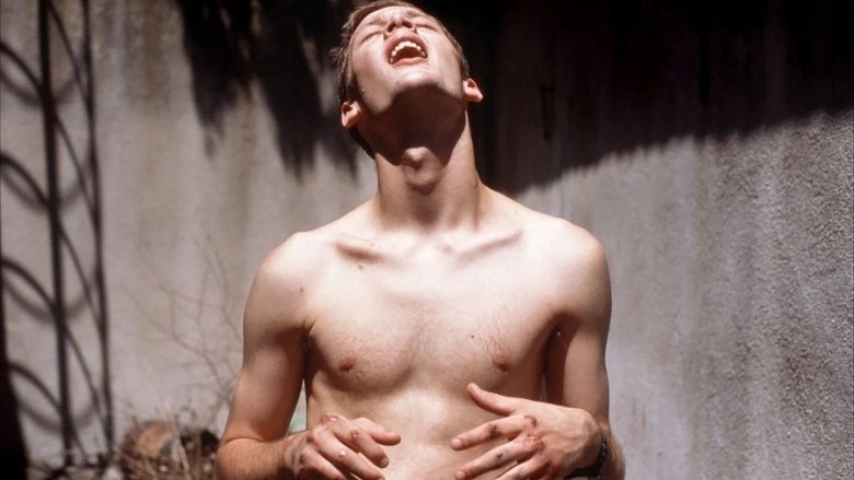 Le Petit Voleur (1999)