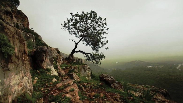 Is Mindfulness Right For You? (2021)