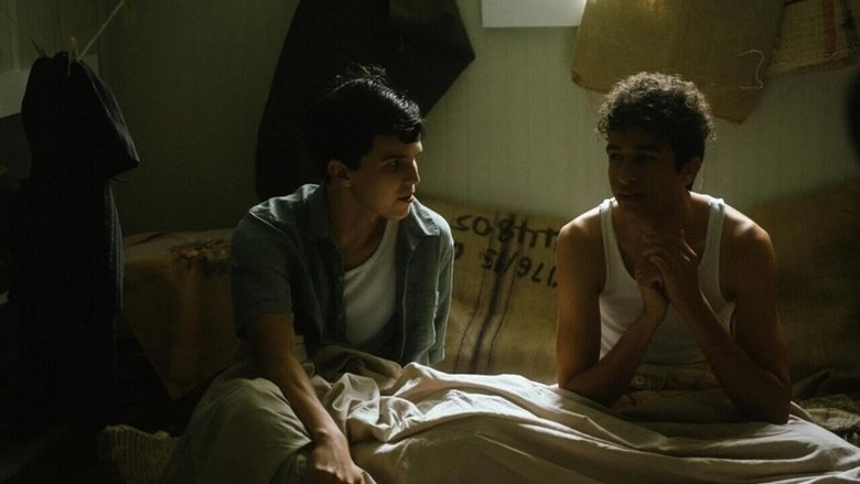 Days Of August (2025)