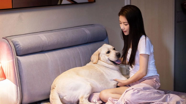 Ling Quan Qi Yuan (2022)