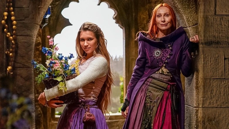 Rapunzel Und Die Ruckkehr Der Falken (2024)