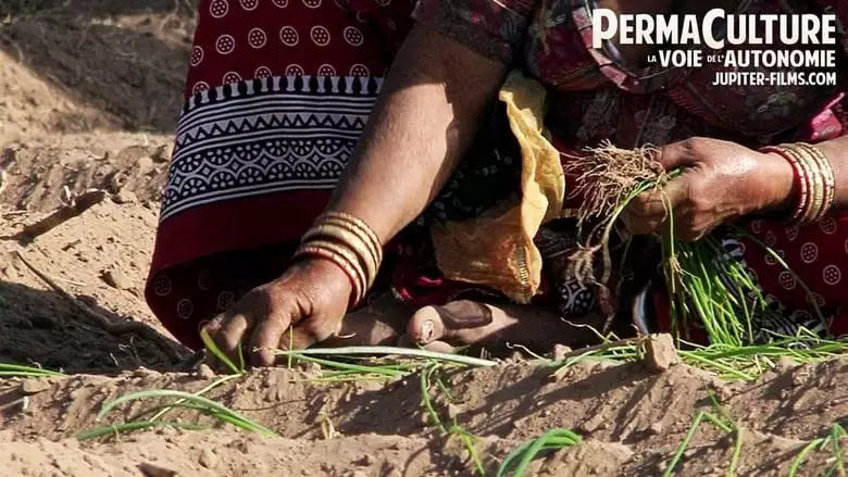 Permaculture, La Voie De L'autonomie (2019)