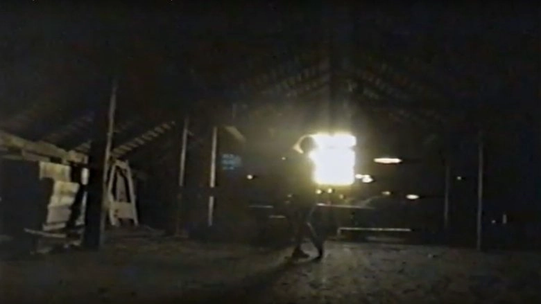 Flickan Med Videokameran (2011)