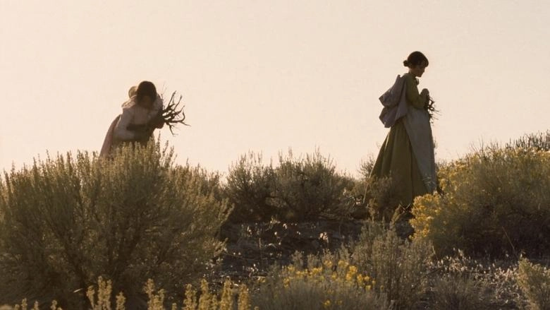 Meek's Cutoff (2011)