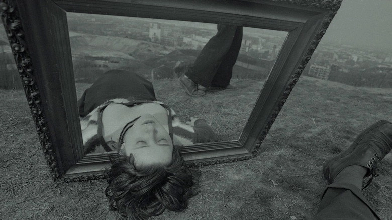 Life Span Of The Object In Frame (2013)