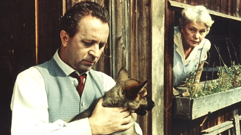 Tato, Sezen Stene (1964)