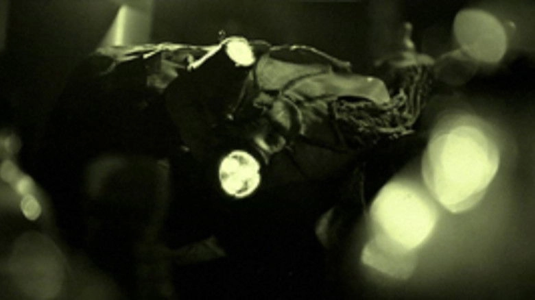 Je N'aurais Pas Du Manger Le Chat (2014)