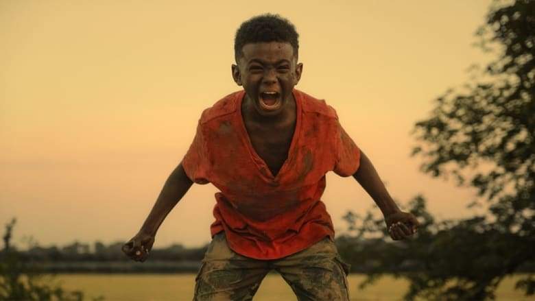 The Last Tree (2019)