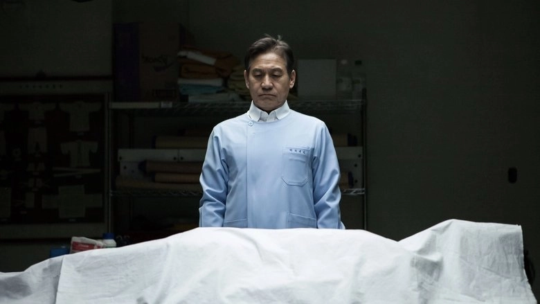 Paper Flower (2020)