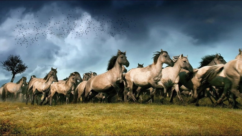 De Nieuwe Wildernis (2013)