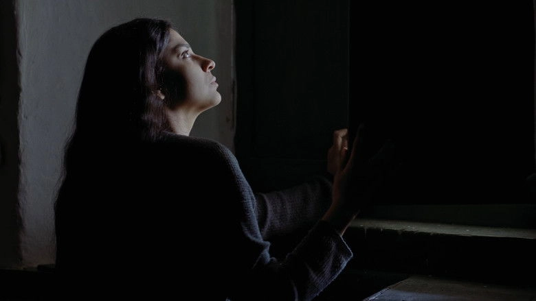 All The Hands I've Let Go (2026)