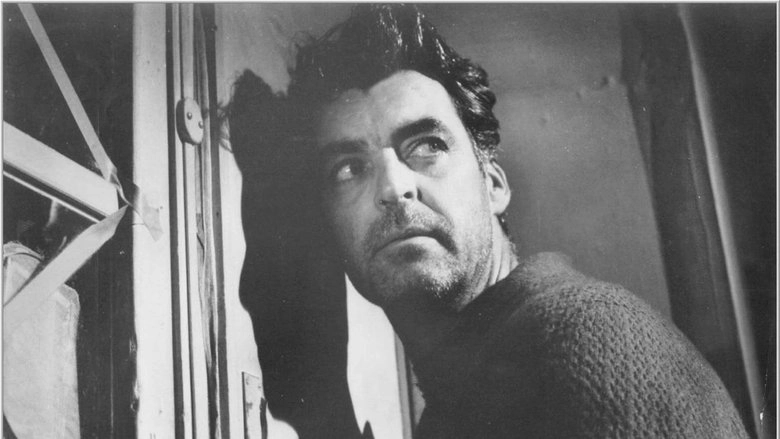 Face In The Rain (1963)