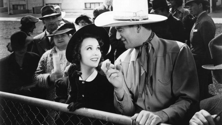 Three Texas Steers (1939)