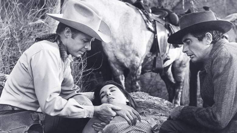 Posse From Hell (1961)