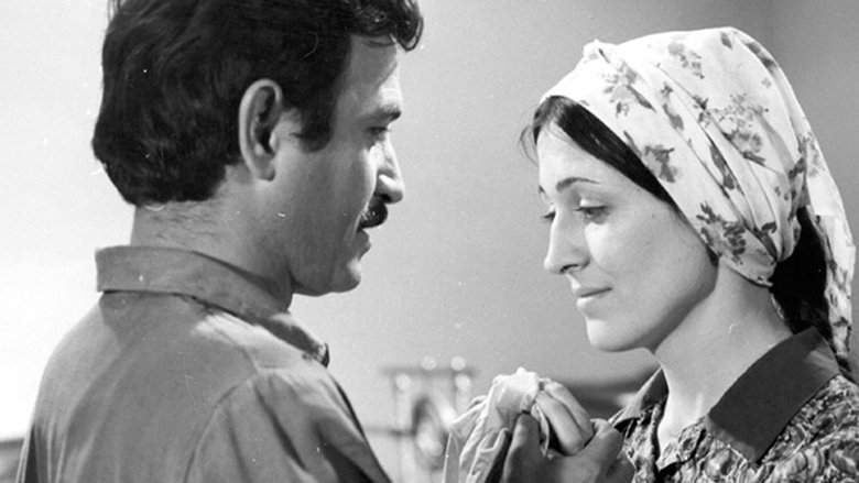 Sevinc Buxtasi (1977)