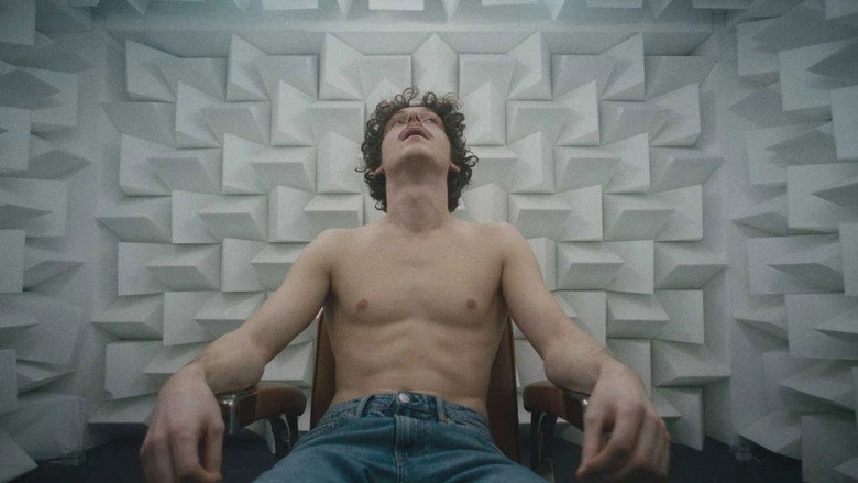 Anechoique (2024)