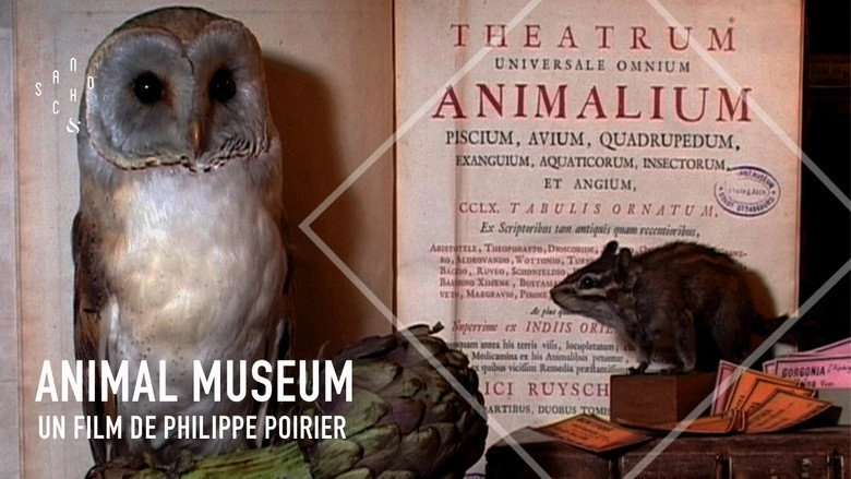 Animal Museum (2005)