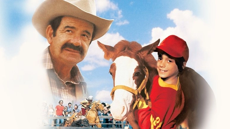 Casey's Shadow (1978)