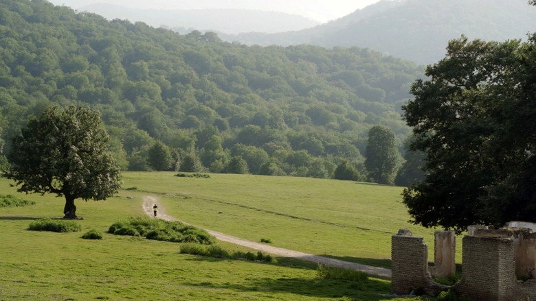 Hamid's Symphony (2022)