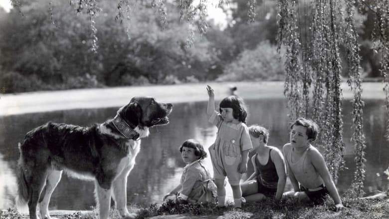 Call Of The Wild (1923)