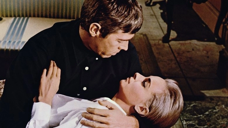 Dead Heat On A Merry-Go-Round (1966)