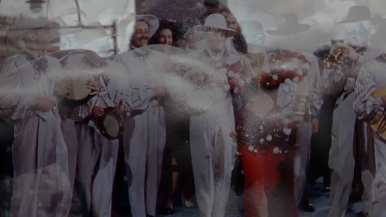 A Jornada Do Valente (2023)