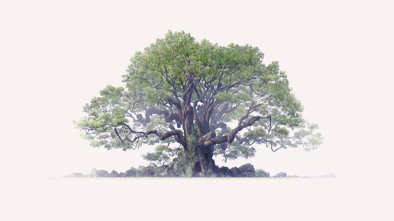 The Keeper Of The Camphor Tree (2026)