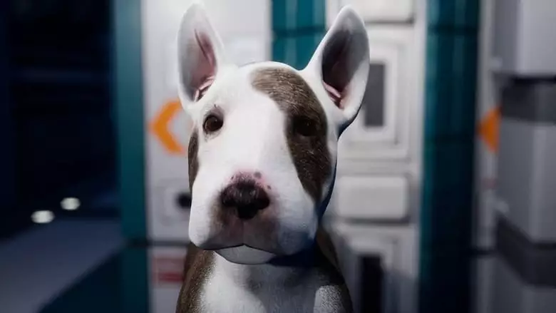 Jurassic Bark (2019)
