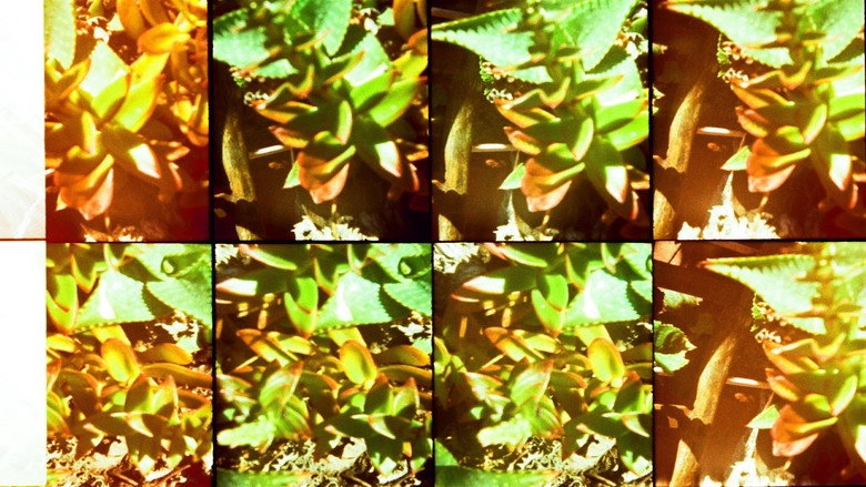 Jardines (2012)