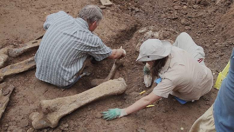 Perm Antiquities. The Elephant Of Okhansk (2018)