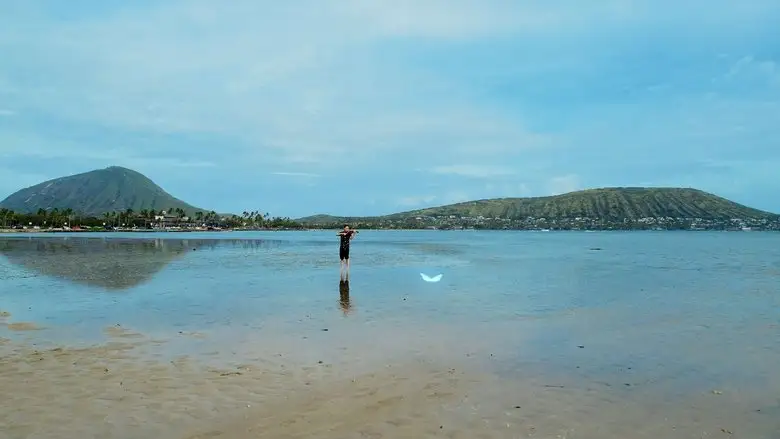 Songs Of Love From Hawaii (2024)