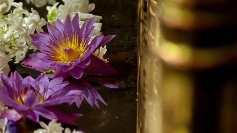 Seven Wonders Of The Buddhist World (2011)