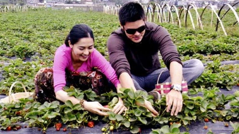 You To Me Are Everything (2010)