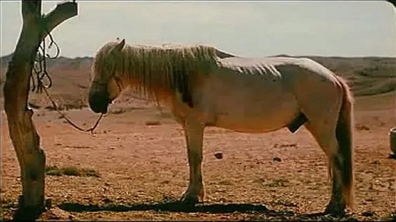 Ji Feng Zhon De Ma (2005)