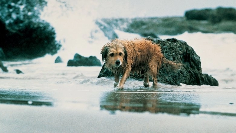 Benji The Hunted (1987)
