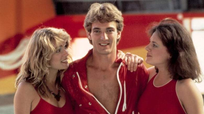 Joy Of Sex (1984)