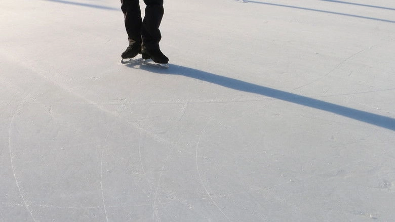 Go Figure: The Randy Gardner Story (2020)