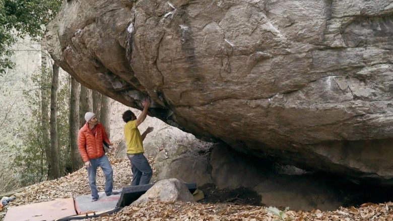 The Nicole Brothers, Born To Climb (2020)