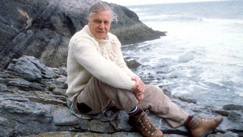 The Trials Of Life (1990)
