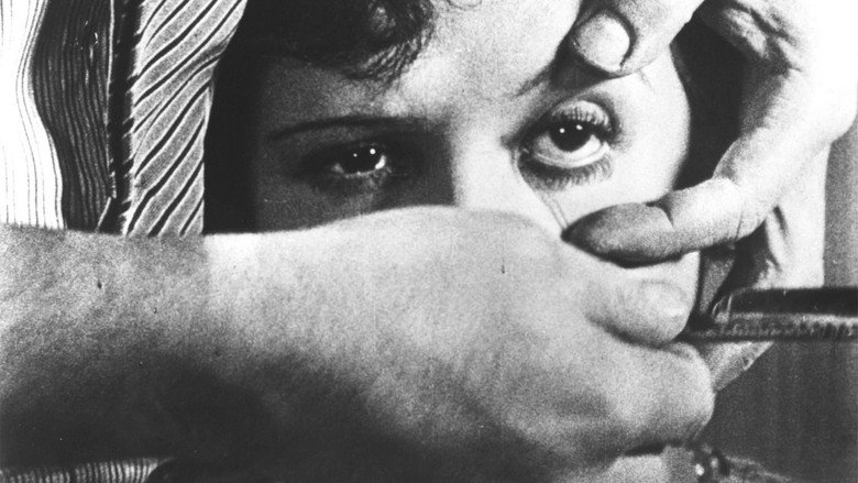 In The Eye Of Luis Bunuel (2013)