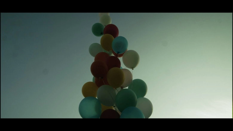 Vignettes (2025)