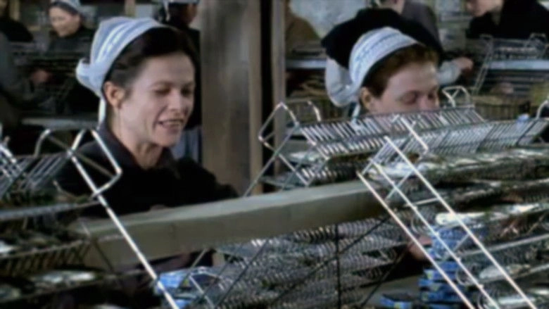 Penn Sardines (2004)