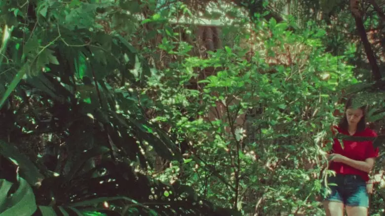 The Parrot (2023)
