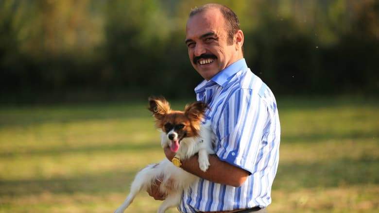 Carsi Pazar (2015)