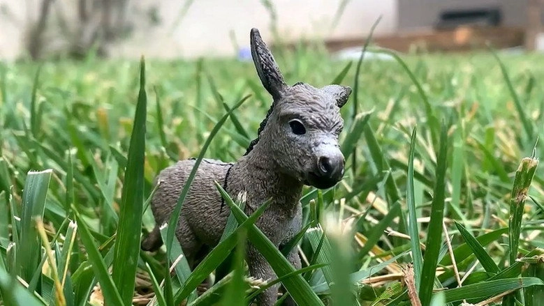 The Conversations Of Donkey And Rabbit (2020)