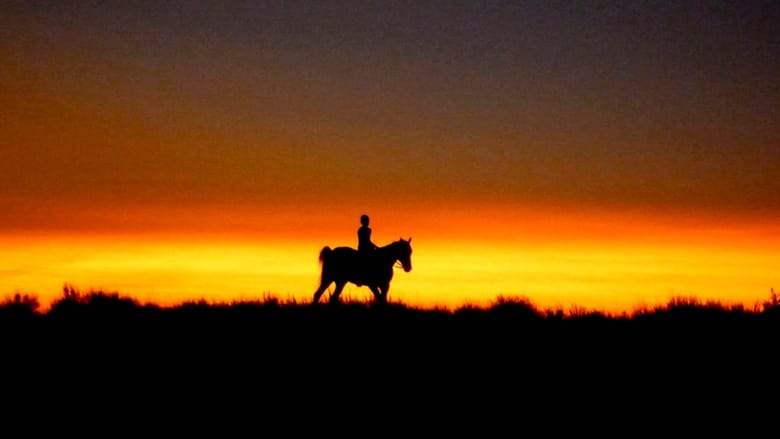 Reel Injun (2010)