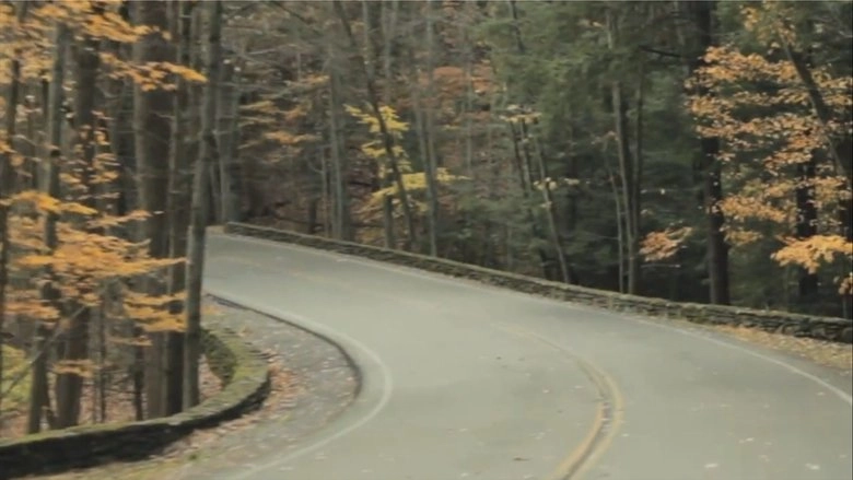 Fall (2012)
